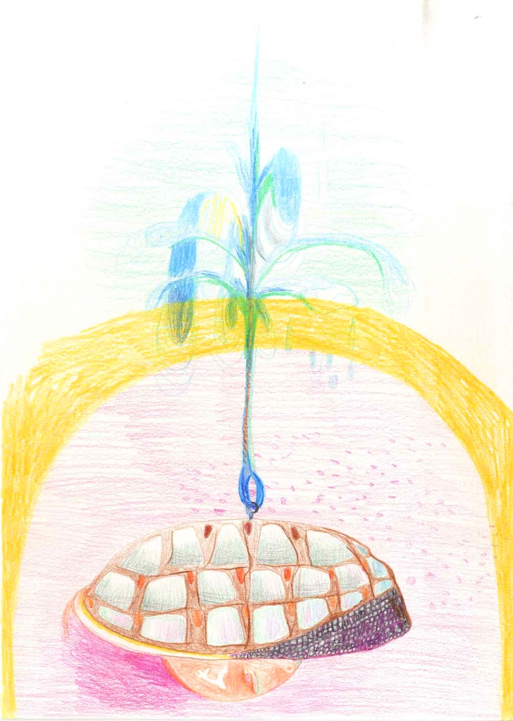 Julia Hinterberger Fleischpanzer Buntstift auf Papier A4 2011