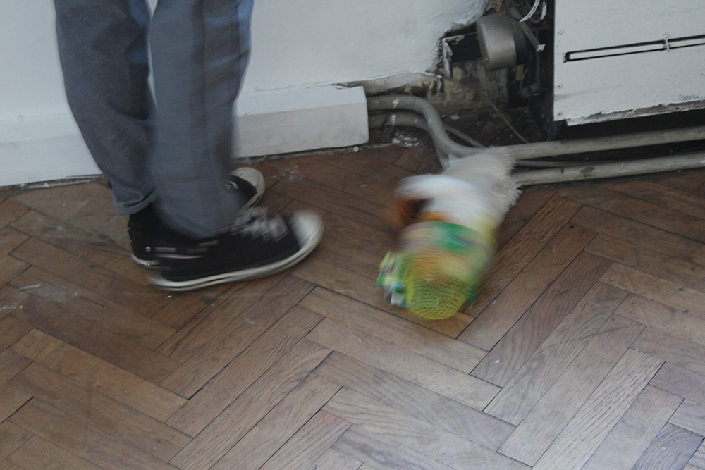 Ausstellungseröffnung Lemon Garden, Julia Hinterberger und Elitsa Velikova, 2015, IMG_5932