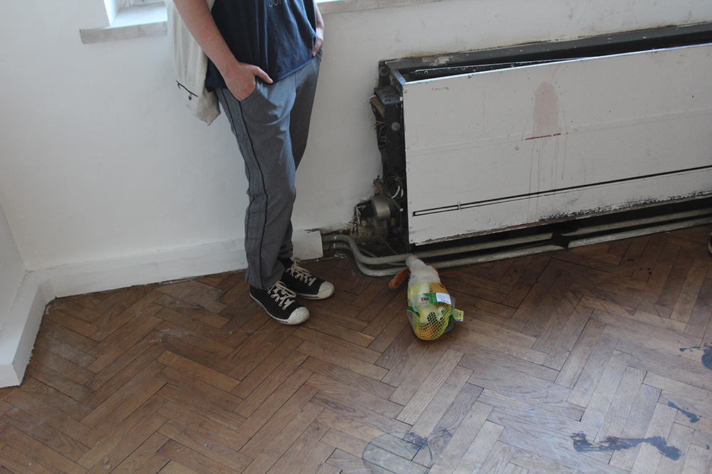 Ausstellungseröffnung Lemon Garden, Julia Hinterberger und Elitsa Velikova, 2015, IMG_5933