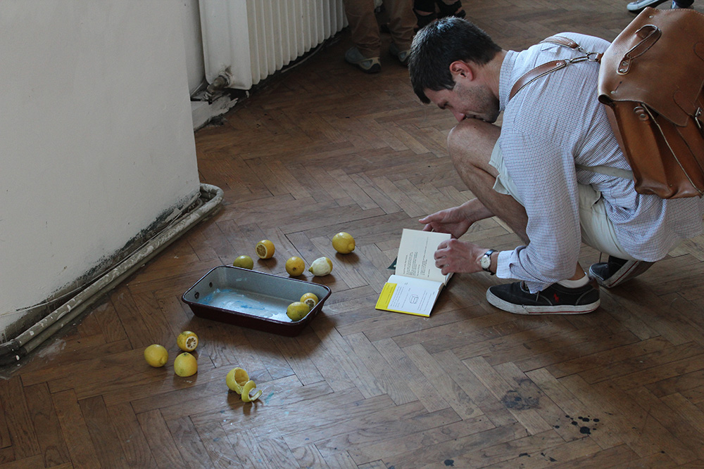 Ausstellungseröffnung Lemon Garden, Julia Hinterberger und Elitsa Velikova, 2015, IMG_5934