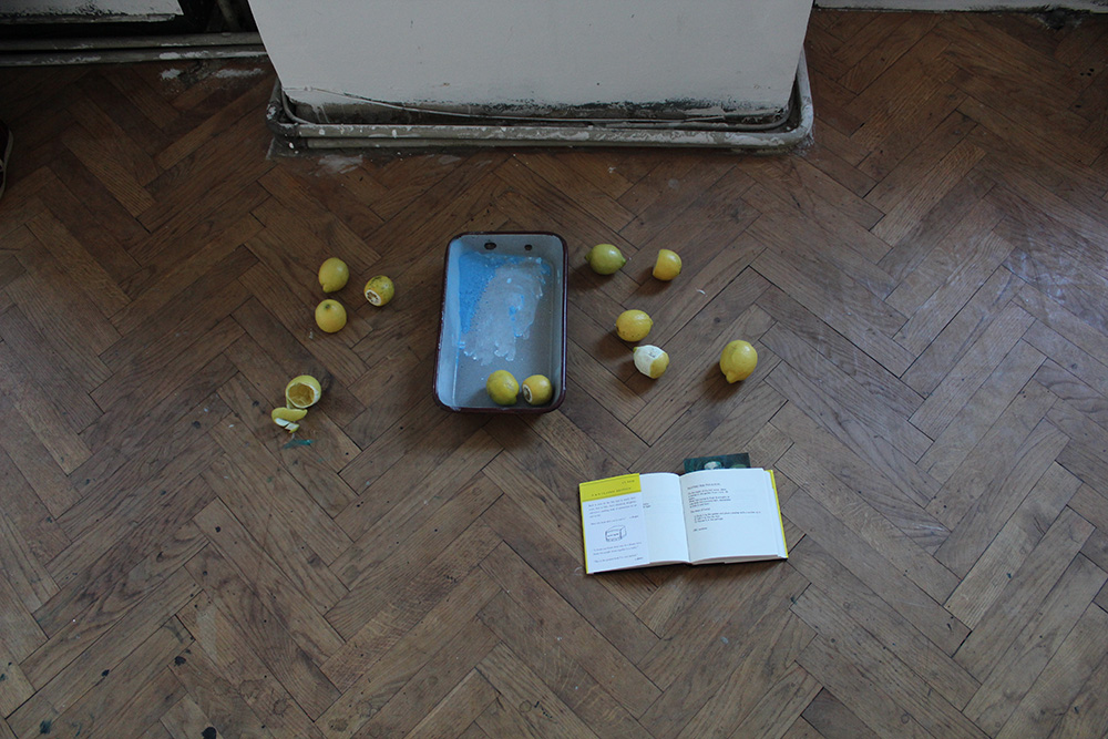 Ausstellungseröffnung Lemon Garden, Julia Hinterberger und Elitsa Velikova, 2015, IMG_5937